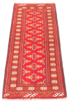 Persian Turkoman 2'0